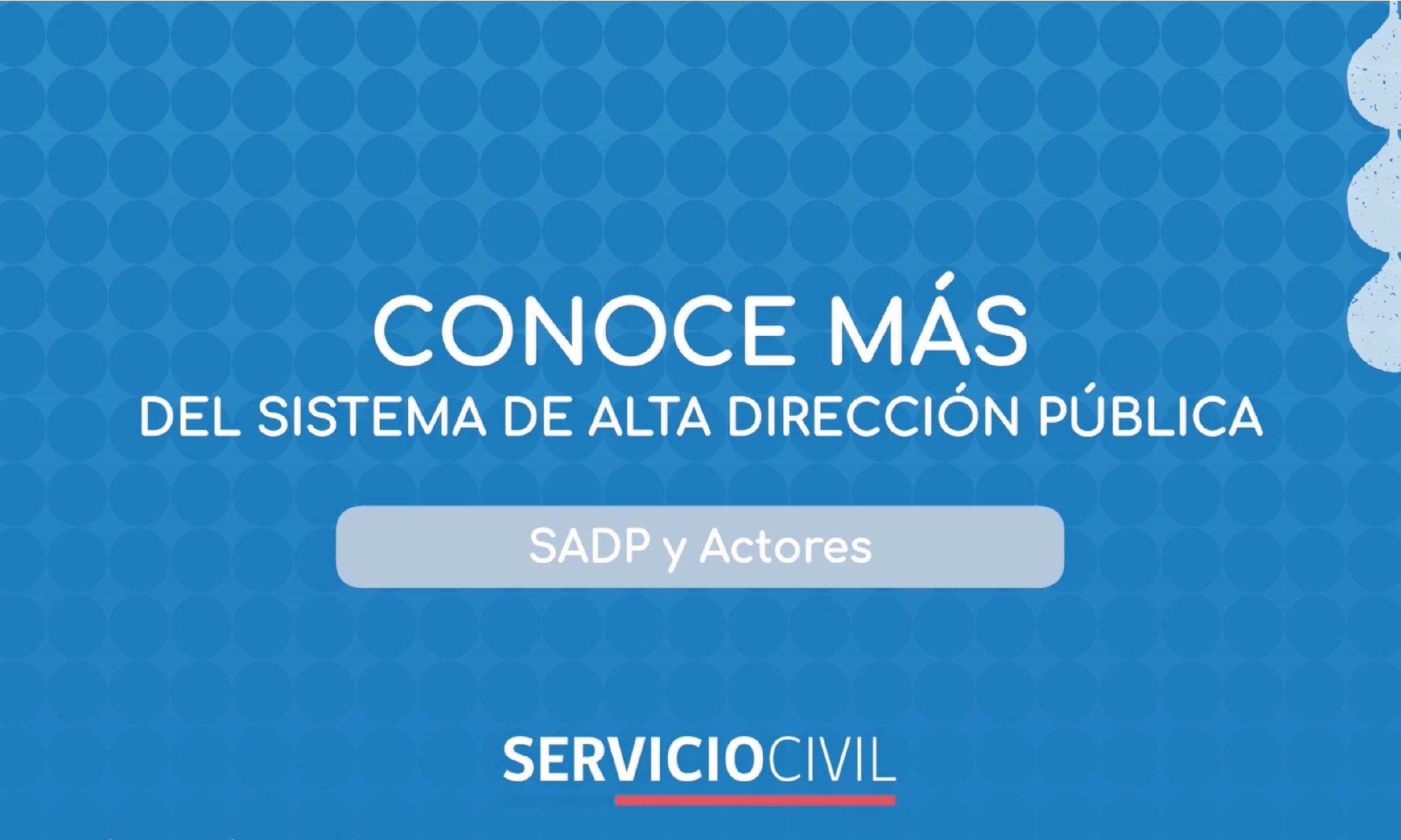 Sistema de Alta Dirección Pública y Actores